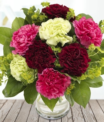 Charming Carnations *
