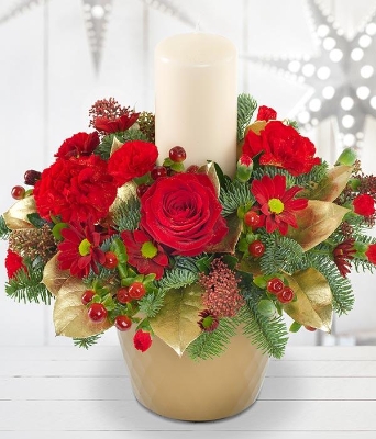 Christmas Festive Pot