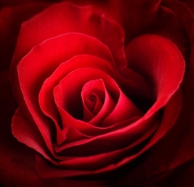Valentines Day Florist Bouquet