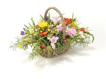 Basket Mixed Freesias