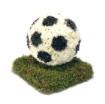 Football Designs