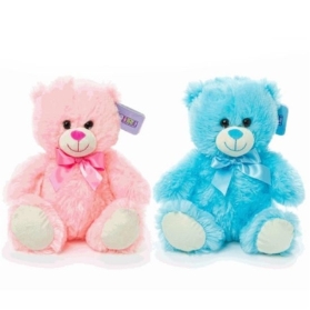 Boy and Girl Teddy (Gift wrapped)