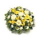 Posy Pad  Yellow and White